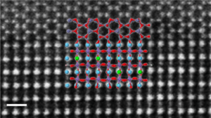 visual-TSST-publications