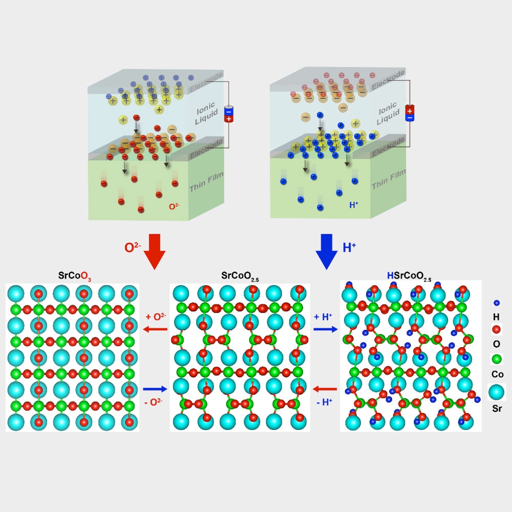 dual-ion switch